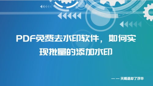 PDF水印免費去除軟件、批量添加水印方法及化妝品行業PDF水印制作教程